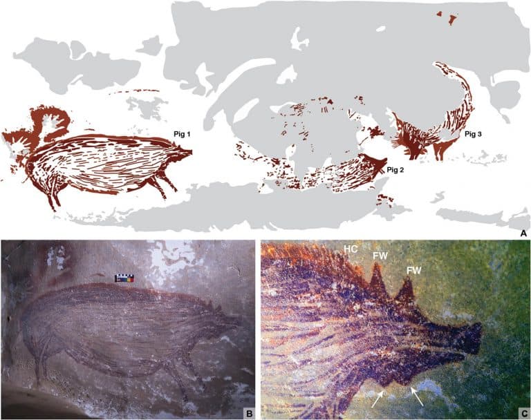 Oldest Cave Painting Observed In Sulawesi Indonesia L Pig   Oldest Cave Painting Griffith University Maxime Aubert 768x608 