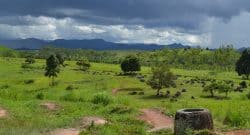 Plain of Jars site 1. Image: Shewan L, O’Reilly D, Armstrong R, Toms P, Webb J, Beavan N, et al. (2021)