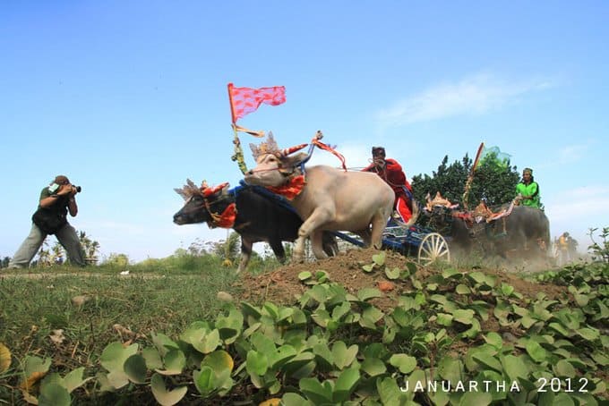 Indonesian Rice Harvest Festival. Posted by 360onhistory.com