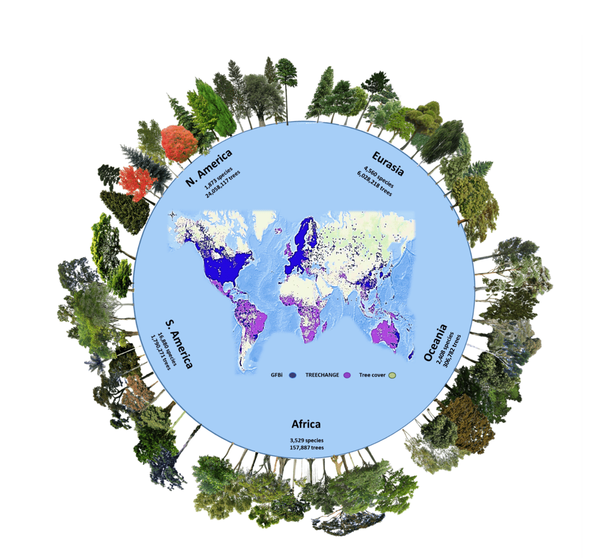 The number of tree species and individuals per continent in the Global Forest Biodiversity Initiative database, one of two databases used in the new study. GFBI data were merged with TREECHANGE data to provide the estimates in the new study. Green areas represent the global tree cover. The GFBI database contains records of about 38 million trees from 28,192 species. Depicted here are some of the most frequent species recorded in each continent. From Cazzolla Gatti et al. in PNAS, 2022.