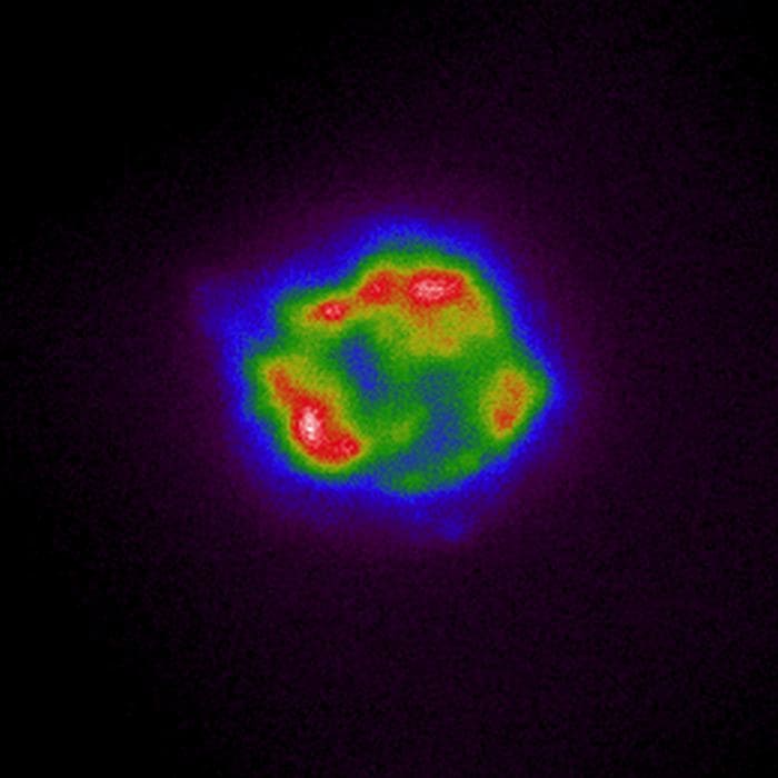 IXPE X-ray light intensity map of Cassiopeia A by NASA