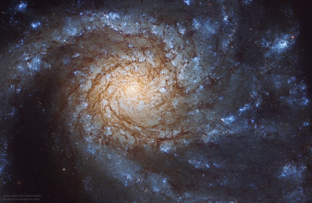 Messier 99, catalogued as NGC 4254 captured by the Hubble Space Telescope. Image Credit: NASA, ESA, Hubble, Janice Lee; Processing & Copyright: Leo Shatz