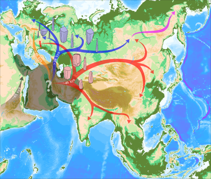 Schematic representation of the peopling of Eurasia through repeated waves of expansion from an out of Africa population Hub (grey-shaded area, precise location is not known); the red arrows represents the expansion associated with Initial Upper Paleolithic material culture and the blue arrows the expansion associated with Upper Paleolithic assemblages. Kya= kylo years ago.