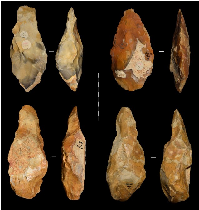 A selection of handaxes discovered in the 1920s at Canterbury, where humans from 600K years ago lived. Source: Key et al and Uni of Cambridge