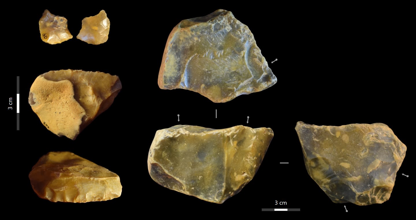 A selection of flint artefacts discovered in the 1920s at Canterbury, where humans from 600K years ago lived. Source: Key et al and Uni of Cambridge