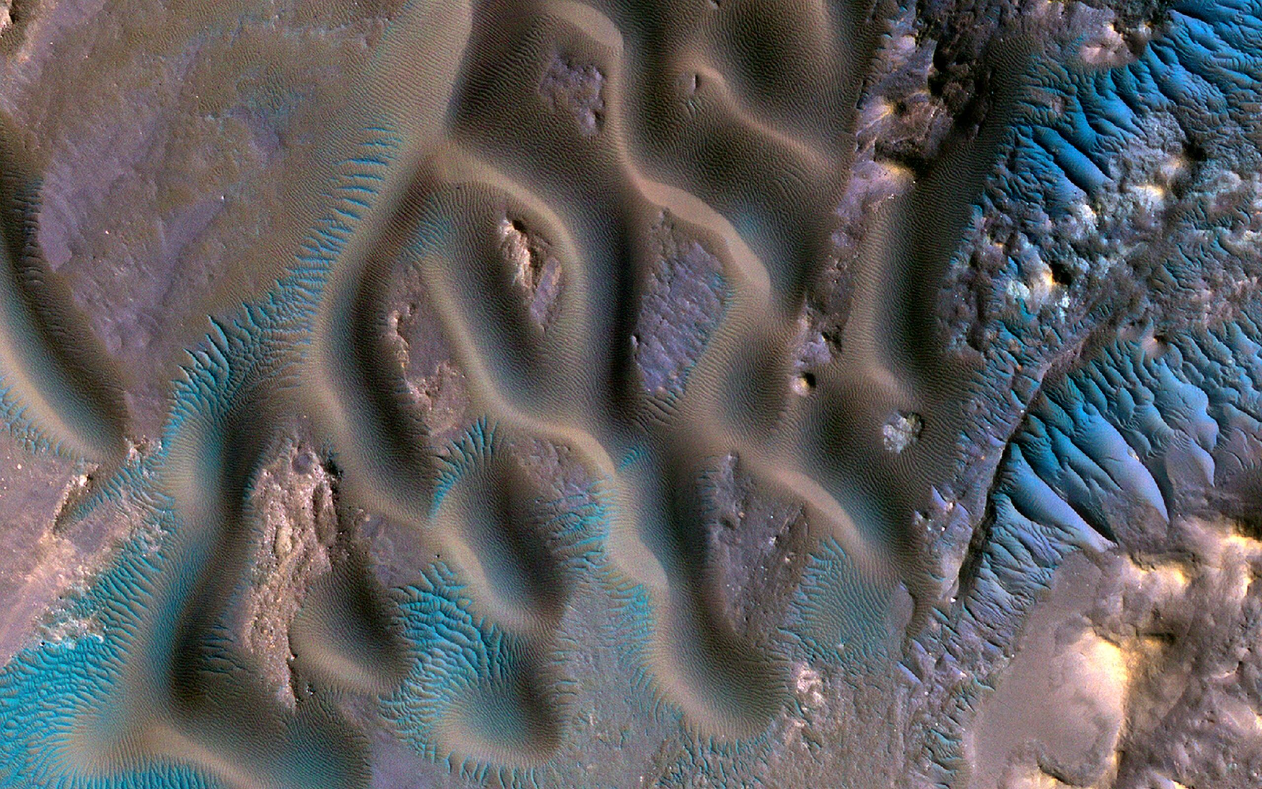 Though Mars is the Red Planet, false-color images can help us learn about its weather and geology. This image shows a variety of wind-related features on the Red Planet near the center of Gamboa Crater. Larger sand dunes form sinuous crests and individual domes.