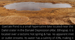 Gaet'ale pond in Afar Ethiopia has a salinity of 43% making it the saltiest body on Earth.