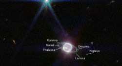 What do we see in Webb's latest image of the ice giant Neptune? Webb captured seven of Neptune’s 14 known moons: Galatea, Naiad, Thalassa, Despina, Proteus, Larissa, and Triton. Neptune’s large and unusual moon, Triton, dominates this Webb portrait of Neptune as a very bright point of light sporting the signature diffraction spikes seen in many of Webb’s images. Credits: NASA, ESA, CSA, STScI