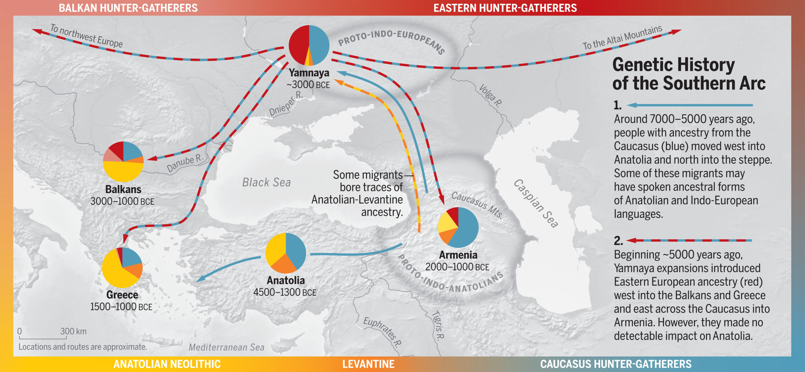 Westward and northward migrations out of the West Asian highlands split the Proto-Indo-Anatolian language into Anatolian and Indo-European branches. Yamnaya pastoralists, formed on the steppe by a fusion of newcomers and locals, admixed again as they expanded far and wide, splitting the Proto-Indo-European language into its daughter languages across Eurasia. Border colors represent the ancestry and locations of five source populations before the migrations (arrows) and mixture (pie charts) documented here. (Lazaridis et al Science 2022)