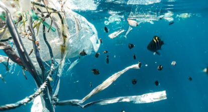 A school of fish swimming near a collection of marine debris including ropes, and plastic bags.