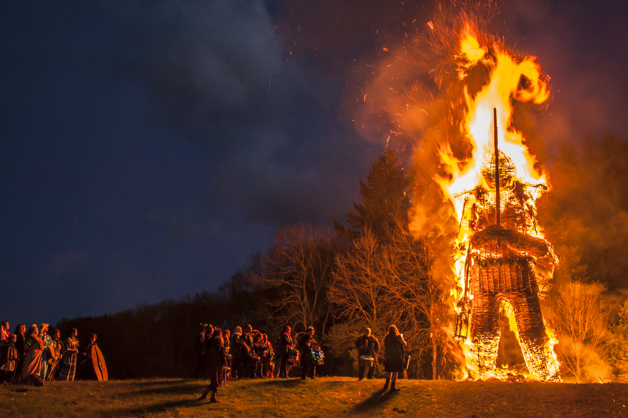  The burning of a 40ft wickerman at Butser Ancient Farm.