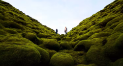 Two people standing between the V-shaped valley between two hills, which are covered with moss. Dylan Shaw/Unsplash