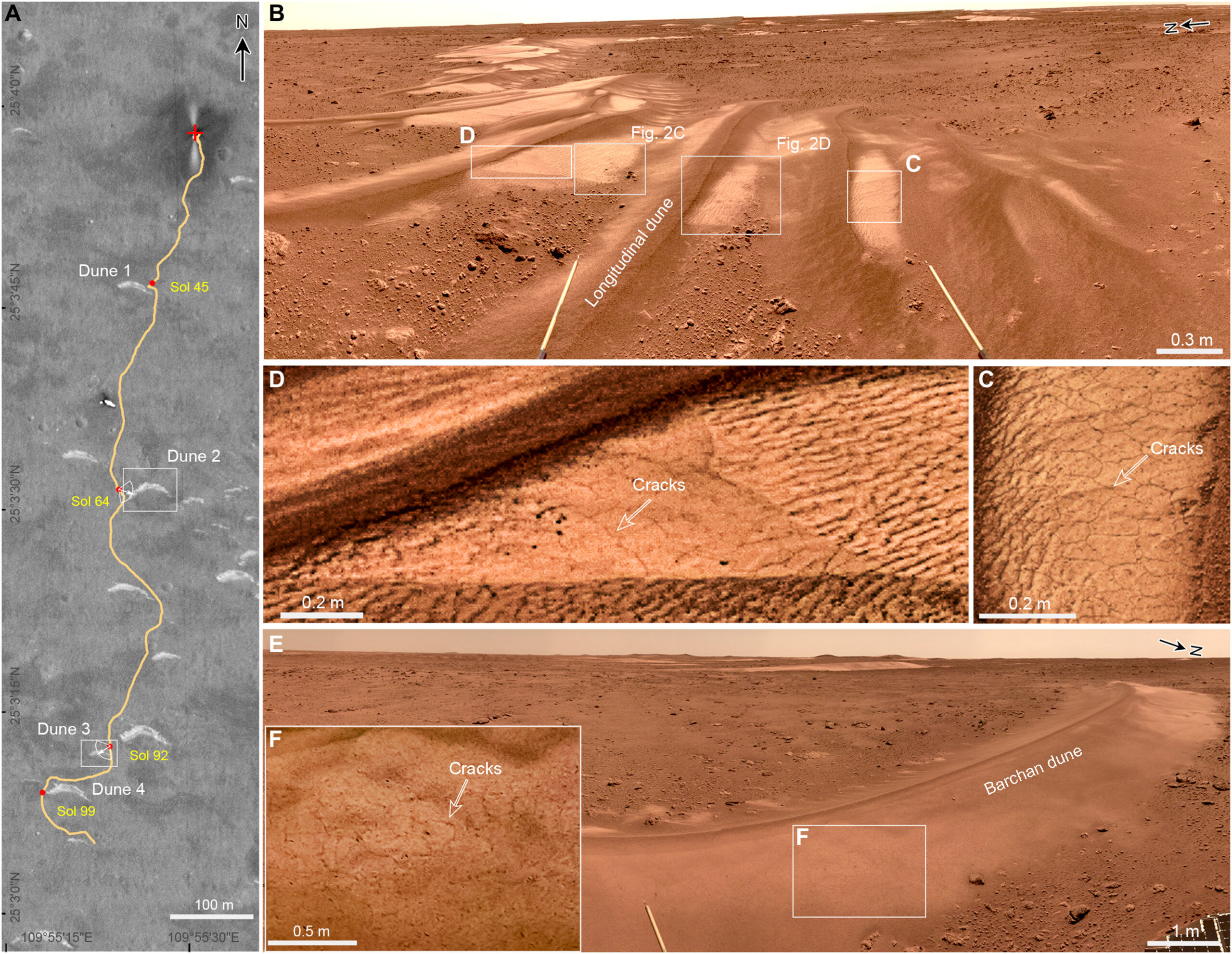 Exploration route of Zhurong rover and cracks on bright sand dunes. (A) Map of the exploration route of Zhurong from May to September 2021. The HiRIC photo (0.7-m resolution) was taken by the Tianwen-1 orbiter. Dunes 1 to 4, marked by white rectangles, were measured in situ on Sols 45, 64, 92, and 99, respectively. (B) Panorama mosaics acquired by NaTeCam of longitudinal dunes on barchan Dune 2, with white rectangles indicating positions of the cracks. (C and D) Cracks developed on the southwestern slope of longitudinal dune on the western wing of Dune 2, with a white arrow pointing to one of the cracks. (E) Panorama mosaics acquired by NaTeCam of barchan Dune 3, with white rectangles indicating positions of the cracks. (F) Cracks on the northern slope of Dune 3. Credit: CNSA/GRAS.