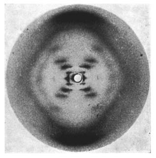 This is an X-ray based fiber diffraction image of a paracrystalline gel composed of DNA fiber taken by Rosalind Franklin and her graduate student Raymond Gosling, in May 1952 at King's College London, in the basement underneath the chemistry laboratories at the MRC Biophysics Unit. Franklin, a biophysicist, had been recruited to the unit to work on the structure of DNA. The image was tagged "photo 51" because it was the 51st diffraction photograph that Franklin had taken. It was critical evidence in identifying the structure of DNA.