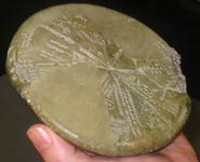 ClayTablet Revealing An Ancient Asteroid Impact being held in a hand showing lines and cuneiform inscription (CC BY)