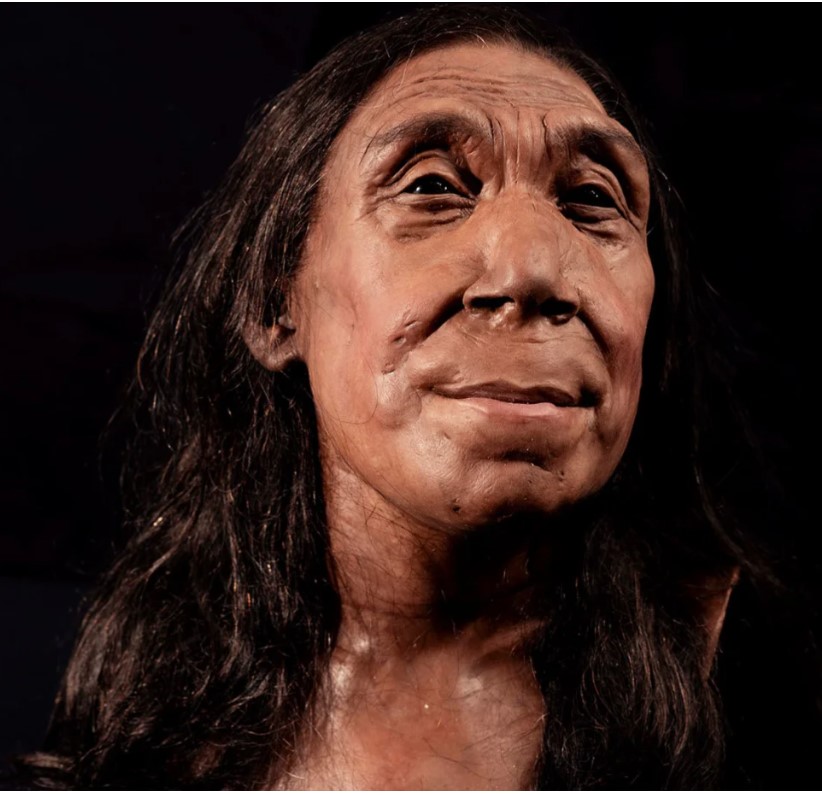 Reconstruction of the face of 75,000-year-old female Neanderthal from cave where species buried their dead. University of Cambridge