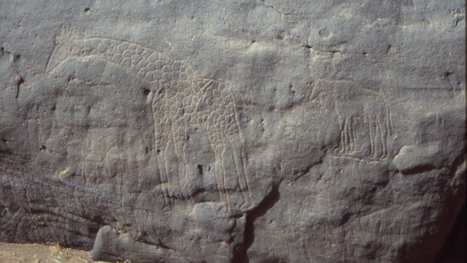 Smaller petroglyphs near the Dabous Giraffes - Albert Backer