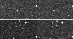 Catalina Sky Survey's images identifying Asteroid 2024 RW1. Catalina Sky Survey via X