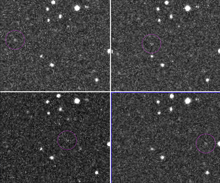 Catalina Sky Survey's images identifying Asteroid 2024 RW1. Catalina Sky Survey via X