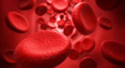 Red blood cells flowing