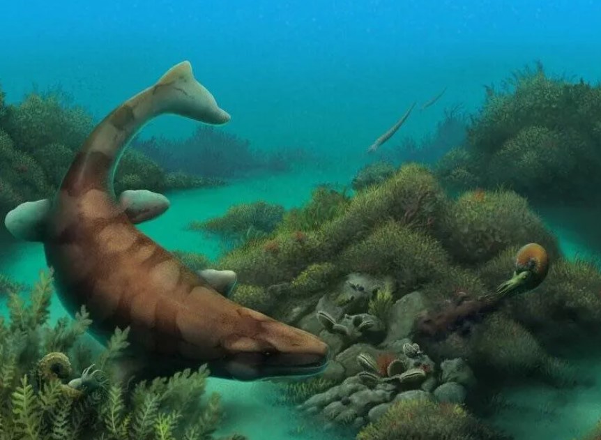 An artist imagines what Globidens alabamaensis would have looked like when present-day Texas was still submerged. Nathan Dehaut, Journal of Paleontological Sciences